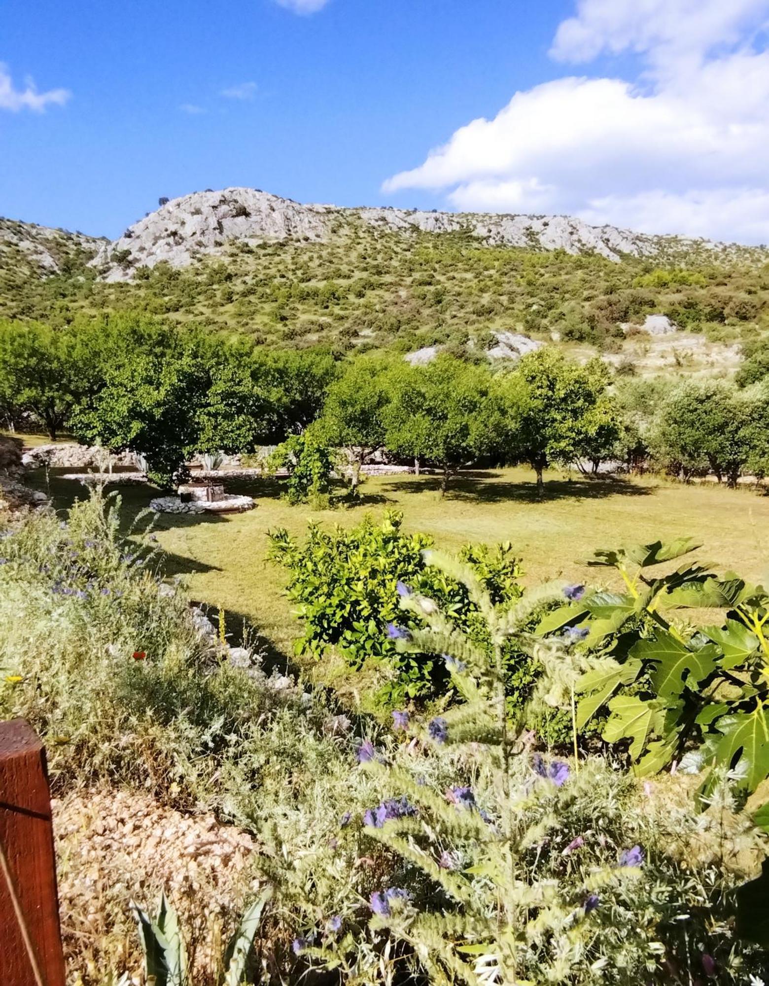 The Garden Of Elais Vila Šibenik Exterior foto